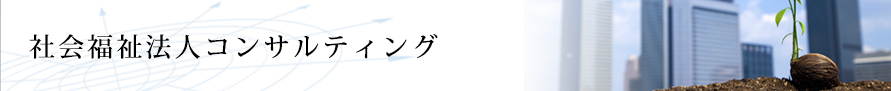 社会福祉法人コンサルティング